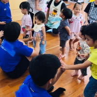 実習生
