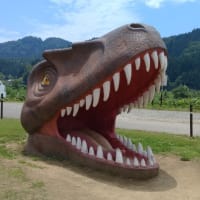 ③