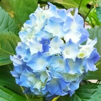 急性的 腰痛に注意！