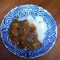 黄色人参を使って