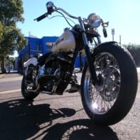 Harley Davidson in Toowoomba