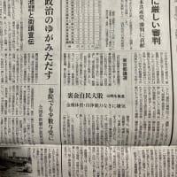 裏金自民党に厳しい審判、都議選の結果報告。アメリカの国際法違反のイラン攻撃許さない❣️平和の日本共産党の躍進を❣️水月湖の掘削はじまる。