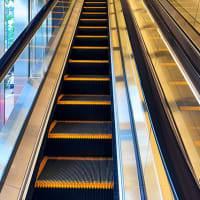 権利の行使には責任が伴う。