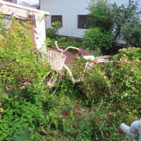 ２０２５．０７．０9　今日のブログ