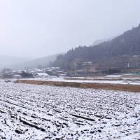 大原雪景色