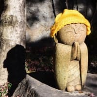今日はお彼岸