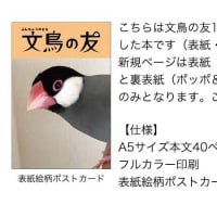 文鳥の友1〜3号再録本の通販について