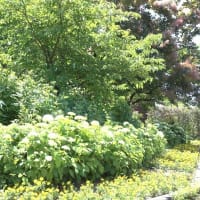 農業文化園・戸田川緑地　花の丘＆フラワーセンター