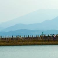 2025年 7月3日　天草のグラデーション