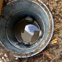 庭の排水管に根が（その６）完結編
