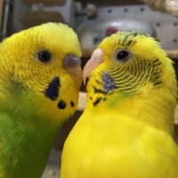 7月20日のこと