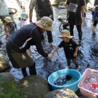 ちびっこ遊び隊！通信　2025年7月9日(水)鴨々川で「水あそび」
