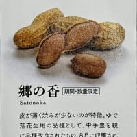 食べ比べ落花生