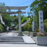 江の島八坂神社・天王祭