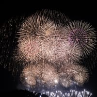 自宅の庭から花火見物！。市制70周年 佐倉花火フェスタ2024を見ました。