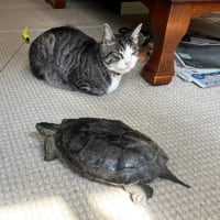 暑かった（笑）
