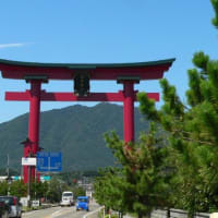 桜井神社。