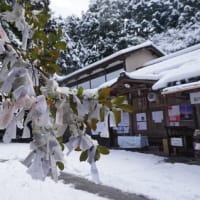 京都の雪景色、一乗寺の氏神さま「八大神社」。雪帽子をかぶる宮本武蔵の銅像。
