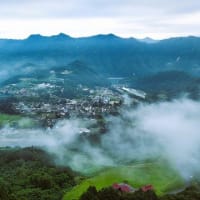 スカイスポーツ公園上空からの風景＆我が家の緑のカーテン