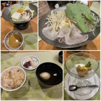 温泉旅行（桜花の郷　ラ・フォーレ庄原）２回目