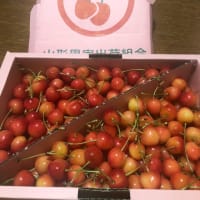 今月はフルーツ月間かぁー