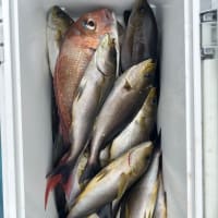 １号船午前便タテ釣り、２号船午前便イサキ釣りです。