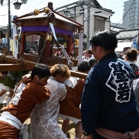 川崎の奇祭　「かなまら祭り」　2024