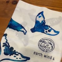 オリジナルクジラの尾びれ手ぬぐい出来ました！