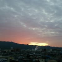 燃えているようだ