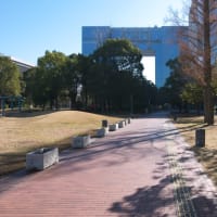 １月のお台場：船の科学館敷地前からウエストプロムナード散策道・南端部内へ　ＰＡＲＴ１