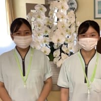 看護学校実習受け入れ
