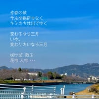 三月 ／ ラグの写真詩