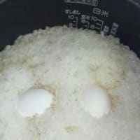 『  麦 たまご ご飯  』