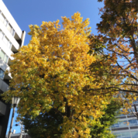 そういえば