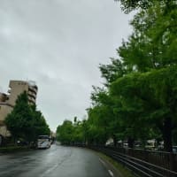 雨漏手