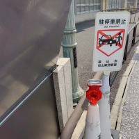 自由日