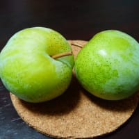 今日も穏やかに暮れて・・・・！！