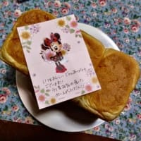 猫を見にきた