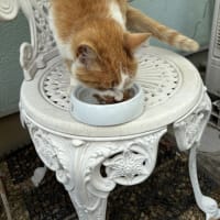 今日の一日。。