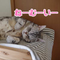 ゴールデンウィーク