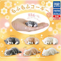 もふもふコーギー