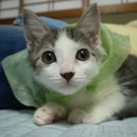 元気いっぱい