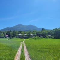 #擦過傷？　#傷に名をつけること