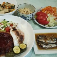 野菜たっぷりトッピングdeロコモコプレート♪