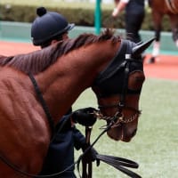 【エスペシャリー】緩められず攻められず…