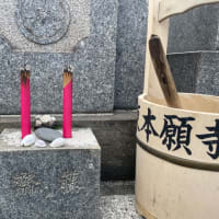 2025年3月18日　古代DNAと墓参り