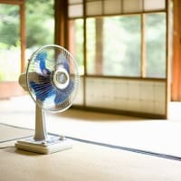 ７月　１３日