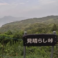 涼しい朝に