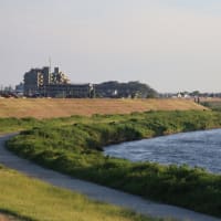 江戸川散歩2