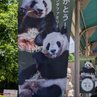 アドベンチャワールド　2